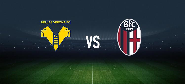 场上的位置 场上的位置