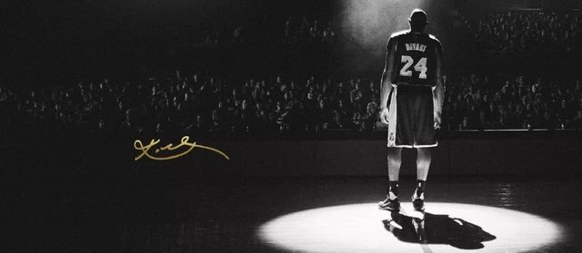 家的注意力 家的注意力